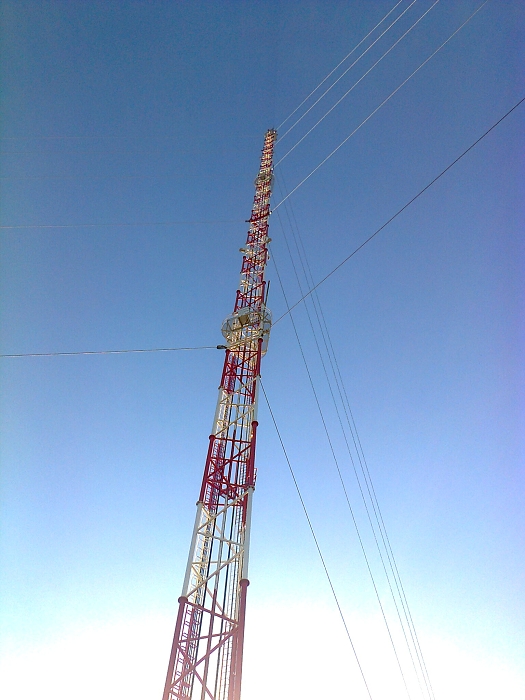 img00003.jpg