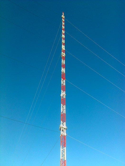 img00007.jpg
