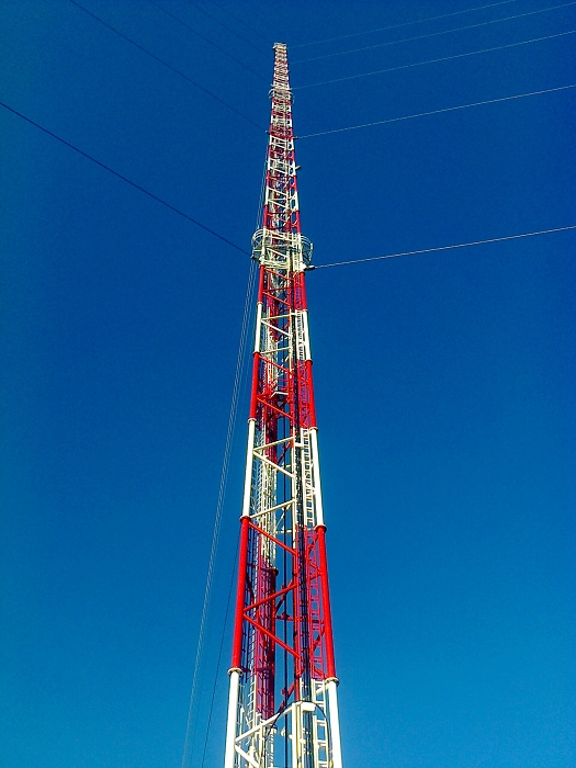 img00011.jpg