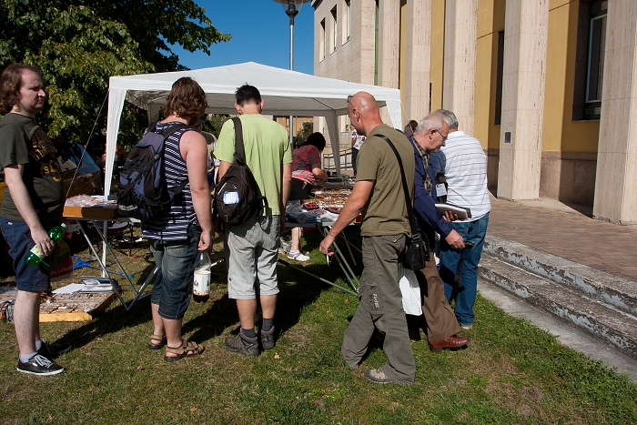 img00021.jpg