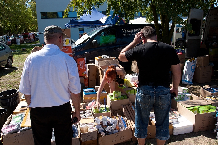 img00051.jpg