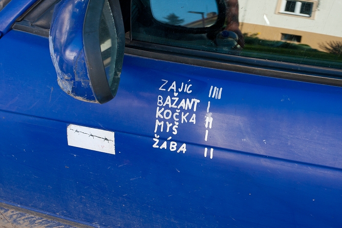 img00091.jpg