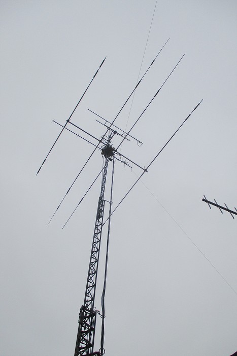 img00061.jpg